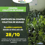 participe da Compra coletiva de mudas