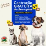 castração gratuita de cães e gatos