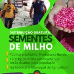 Distribuição Gratuita de Sementes de Milho para Produtores Rurais